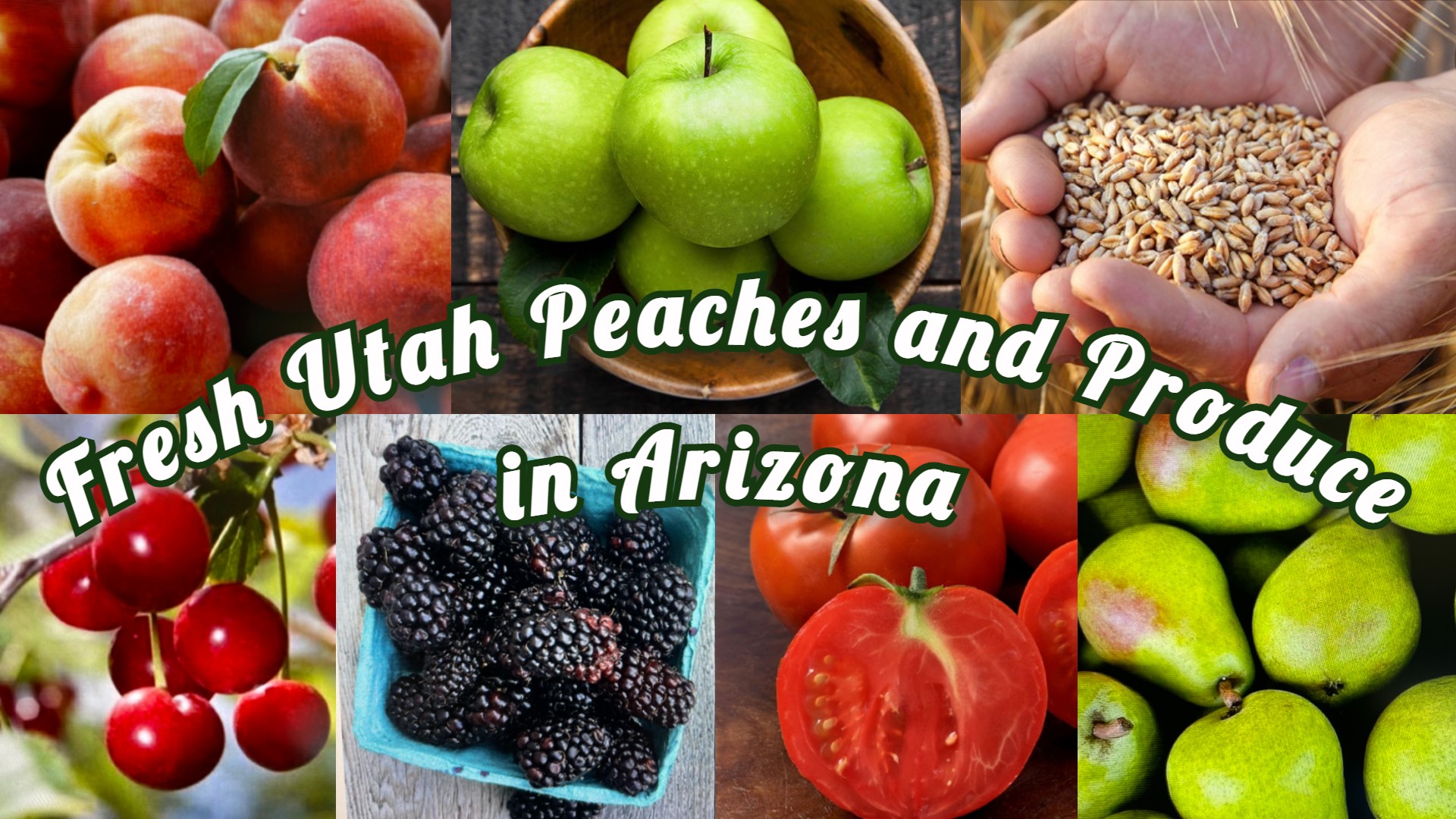 Fresh Utah Peaches and Produce in Arizona